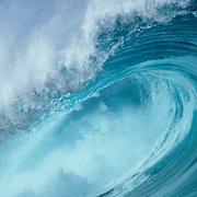 魔键的个人资料头像