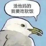 减肥不想动头像