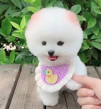 赢这人生旅程头像