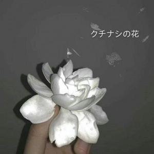 黄荒河焰VvEby头像