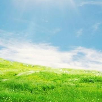 繁华从不落幕头像