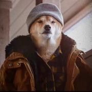 归零788的个人资料头像