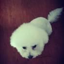 android_diordna的个人资料头像