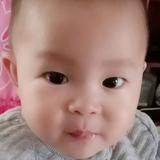 追风筝的我头像