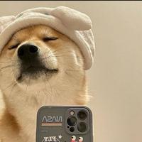 用户2695205015575头像