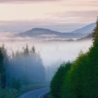 百年孤独5363头像