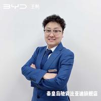 比亚迪成金阳头像