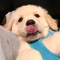 多次拒绝山茶知讯头像