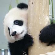 鹿小六的个人资料头像