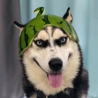 借借口头像