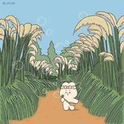 小小仙儿的个人资料头像