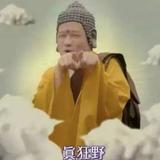 gslz大宝001头像