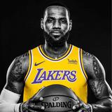 leopursutsteps头像