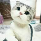 略略略酱64921的个人资料头像