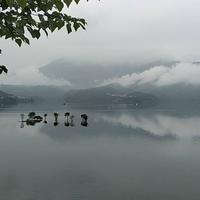 风雪无阻379头像