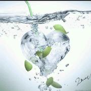 闲庭梦若的个人资料头像