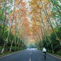 儒雅水滴kxH头像