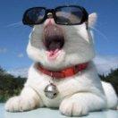 热心市民X先生的个人资料头像