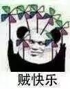 坐在岩石上看海的个人资料头像