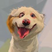 小趴菜663的个人资料头像