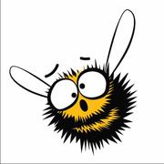 獠牙的个人资料头像