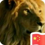汉啦啦啦801头像