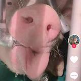 抖音号头像