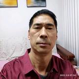 红叶清茶头像