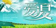 爱夏同志的个人资料头像