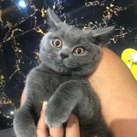 Peter航头像