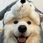 晓星丞的个人资料头像