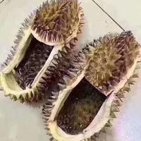 高高的韭菜vlp头像