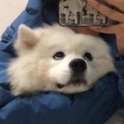 小彭37的个人资料头像