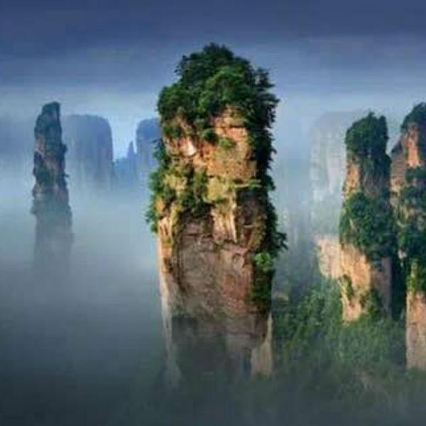 边橙记头像