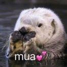 是大锤呀的个人资料头像