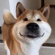 一颗小菜的个人资料头像