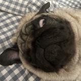 用户3629422404397头像