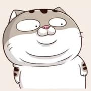 TikiTakaSkyLin的个人资料头像