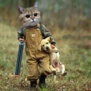 自闭的小邢的个人资料头像