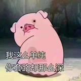 用户7900606605247头像