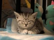 Java2Youth的个人资料头像