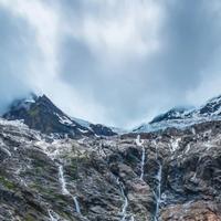 嘿一颗鱼丸头像