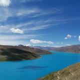 书犹药乐解毒头像