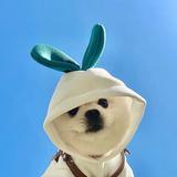 女朋友美舍头像