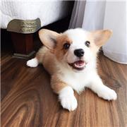 lyh3wwz的个人资料头像