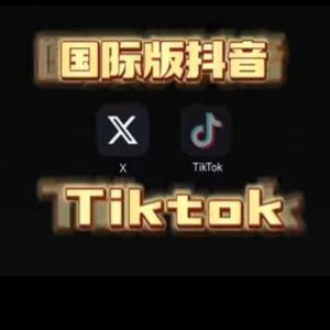 国际版抖音tiktok白嫖勿扰头像