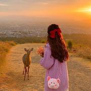 QUEEN霞的个人资料头像