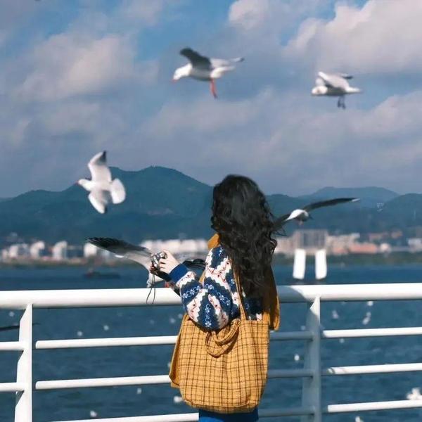 hi得娟头像