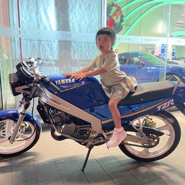 涛仔放心车头像