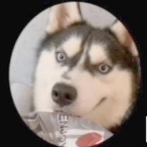 Поэтический цитрус 3fn